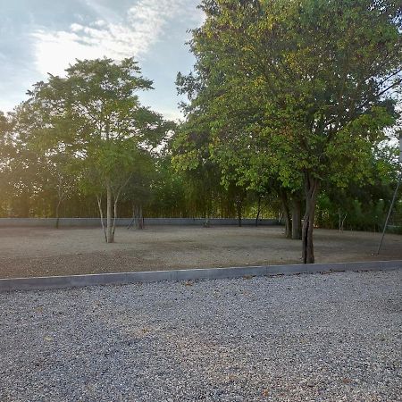 Il Giglio B&B Asola Dış mekan fotoğraf